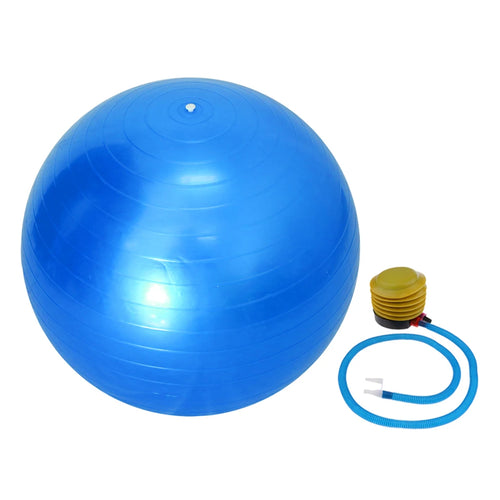 55cm Explosion-proof Sports Yoga Ball With Pump Pilates Fitness Gym