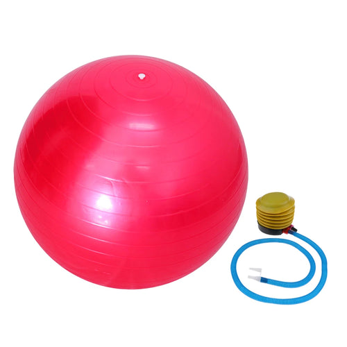 55cm Explosion-proof Sports Yoga Ball With Pump Pilates Fitness Gym